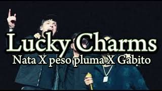 Lucky charms lyric video [upl. by Olsewski]