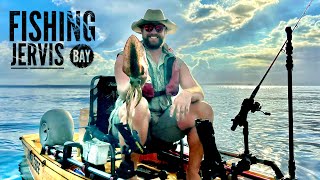 Fishing Jervis Bay  squid camping fishing [upl. by Hirza597]