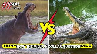 Hippopotamus vs Crocodile Epic Animal Showdown  🔥 Animal Battle Arena [upl. by Shaper93]