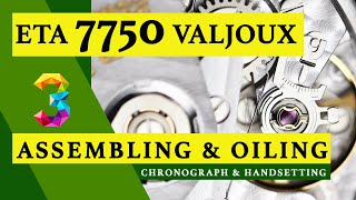 ETA 7750 VALJOUX  PART 3  ASSEMBLING amp OILING  CHRONO amp HANDSETTING  BREITLING  WATCH REPAIR [upl. by Herra778]