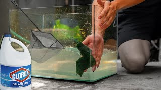 How to Sterilize Fish Tanks Nets and Equipment [upl. by Bohlen]