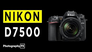 Nikon D7500 DSLR Camera Highlights amp Overview [upl. by Ordnazil]