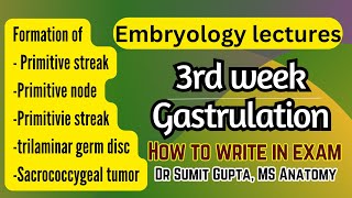 Gastrulation  Primitive streak  General embryology [upl. by Delainey]