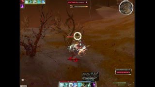 Guild Wars Solo Farm with 55Necro in Sardelac [upl. by Zebaj]