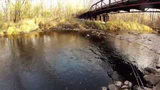 Fly Fishing the Root River Wisconsin [upl. by Endo]