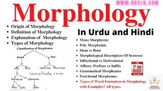 Morphology Word Formation In Morphology Morphological Analysis Sentence Types Of Morpheme PDF [upl. by Alegnasor]