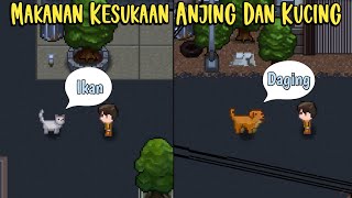 Makanan Kesukaan Anjing dan Kucing di Citampi Stories Pet Citampi Story [upl. by Zsamot]