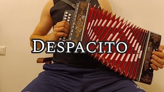 Despacito  Luis Fonsi Accordion cover [upl. by Ier304]