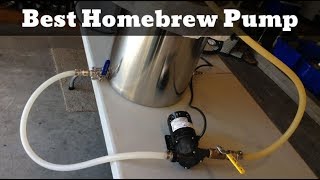 Best Homebrew Pump  Beer Pump Reviews Of 2021 [upl. by Saxet701]