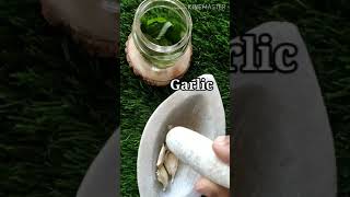 garlicamp neem oil for remove liceampnits hair oil for lice nits treatment home made oil shorts [upl. by Haral848]