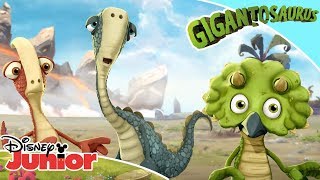 The Dinosaurs Explore 🦕 Gigantosaurus  Disney Channel Africa [upl. by Witt]