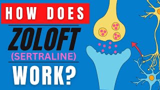 HOW DOES ZOLOFT WORK SERTRALINE MEDICATION FUNCTION EXPLAINED [upl. by Rehpotsrihc]