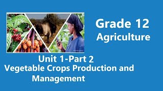 Grade 12 Agriculture Unit 1 Part 2 [upl. by Eusadnilem]