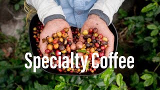 Какво е Specialty Coffee SCA точки и Qгрейдери [upl. by Valer]