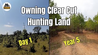 5 YEARS of Owning ClearCut Hunting Land [upl. by Anelys]