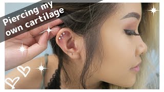 6 Piercings auf einmal 💉Triple Anti Helix 💉 2 Girls geben Vollgas 💉 Marcs Piercing TV [upl. by Carnahan]