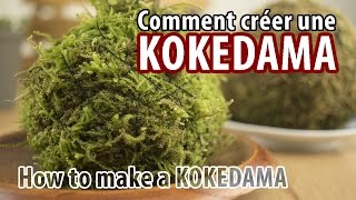 Comment créer une Kokedama  Bonsaï [upl. by Ennylcaj321]