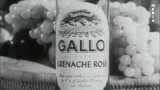 Gallo Wine Commercial  1950s [upl. by Ycniuqal257]