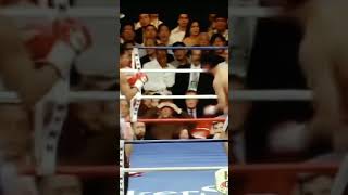 Pacquiao VS Morales 3 pacquiaovsmorales3 [upl. by Gris]