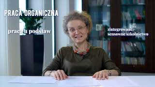 5 Literatura polska epoki pozytywizmu i Młodej Polski cz 1  dr hab Beata ObsulewiczNiwińska [upl. by Ayotan980]