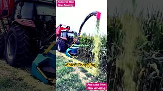 Awesome design of maize chopping with an instant efficiency [upl. by Anividul]