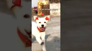 Aap sab ka pyara puppy 😍❤️viral cute puppy dog labrador shorts trending comedy comedy [upl. by Eilrac]