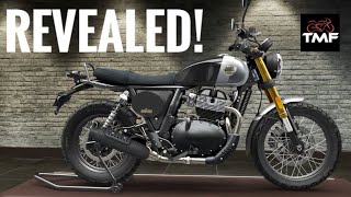 New Royal Enfield “Bear” Scrambler Revealed [upl. by Halian]