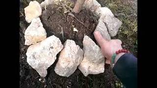 PERMACULTURE PLANTER UN ARBRE FRUITIER ARBORICULTURE MICRO FERME BIOLOGIQUE LIMOUSIN [upl. by Fleeman]