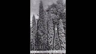 Prurient  Lily Of The Valley  Return Of Happiness Full Album 2007 [upl. by Adamek390]