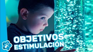 Objetivos de la estimulación multisensorial [upl. by Ahsyat347]