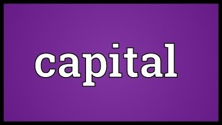 Capital Meaning [upl. by Evanthe284]