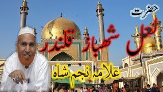 Najam Ali Shah Bayen  Lal Shahbaz Qalandar Full History  2018 New [upl. by Peta]