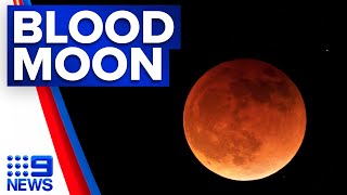 Total lunar eclipse over Australia tonight How to watch the blood moon  9 News Australia [upl. by Norvall713]