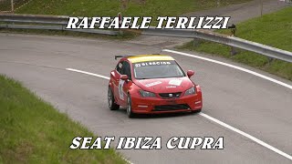 SALITA PEDAVENA  CROCE DAUNE 2024  RAFFAELE TERLIZZI  SEAT IBIZA CUPRA  BY BELLUNOVIDEO [upl. by Nevets]