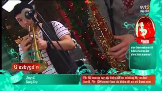 Glesbygdn  Betong Live Musikhjälpen 2010 [upl. by O'Neil111]