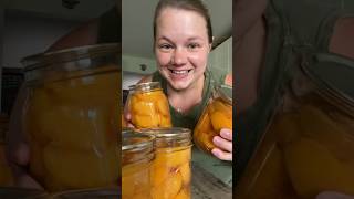 Canning peaches for the year canning homestead farming naturalliving [upl. by Lorien]