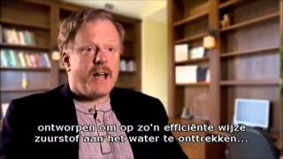 God van wonderen God of Wonders Documentaire met ondertiteling [upl. by Lindeberg387]