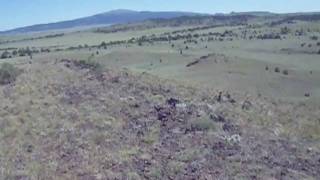 Capulin With Phil amp One Fly [upl. by Akeber786]