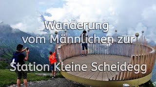 Swiss  Schweiz  Switzerland  Wanderung vom Männlichen zur Station Kleine Scheidegg [upl. by Weider]