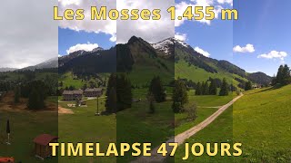 Leysin  Les Mosses  La Lécherette ⏩ Timelapse 47 jours [upl. by Nevetse]