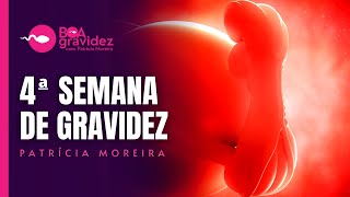 4 SEMANAS DE GRAVIDEZ  Gravidez Semana a Semana Atualizada [upl. by Marcellina232]