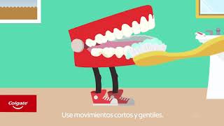 Cómo cepillarse los dientes correctamente  Colgate® [upl. by Einahpetse262]