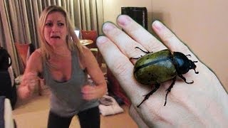 HUGE HISSING BEETLE PRANK [upl. by Ssalguod55]