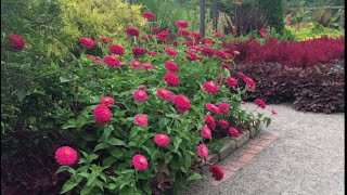 A Walk Through Beautiful Cantigny Park August 21 2017 [upl. by Tessa]