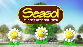 How to use seaweed in the garden [upl. by Tully]