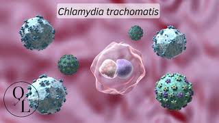 Chlamydia trachomatis Tracoma Infección de Transmisión Sexual [upl. by Soisatsana]