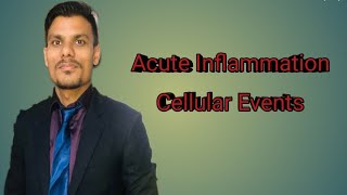 Pathogenesis of Acute Inflammation Cellular Events by DrShyam [upl. by Prudie718]