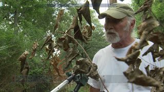 Working 4 You Community says Entergy crews oversprayed herbicide killing hundreds of trees and pl [upl. by Netsua11]