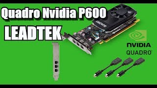 Quadro Nvidia P600 Workstation Unboxing  Tach Land [upl. by Iretak]