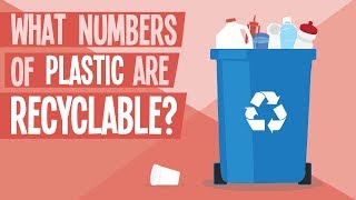 What Numbers of Plastic are Recyclable [upl. by Olshausen323]